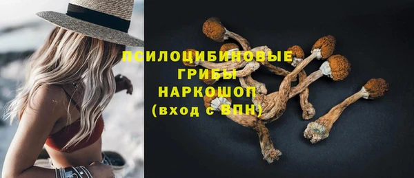дурь Коряжма