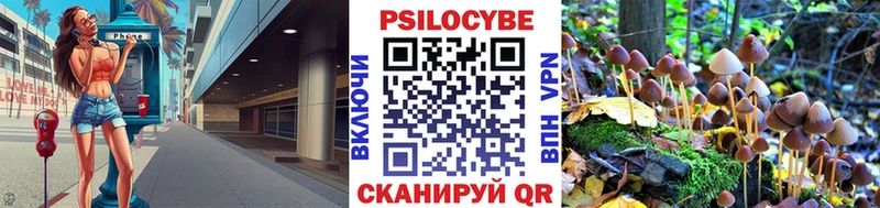 Псилоцибиновые грибы Psilocybine cubensis  Купить где  Лесосибирск 